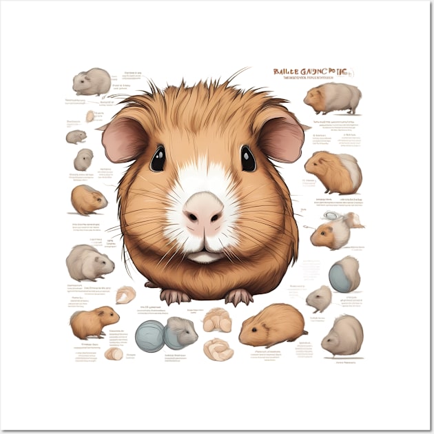 Whimsical Biology, Kid's Guide to Guinea Pig Anatomy Wall Art by trubble